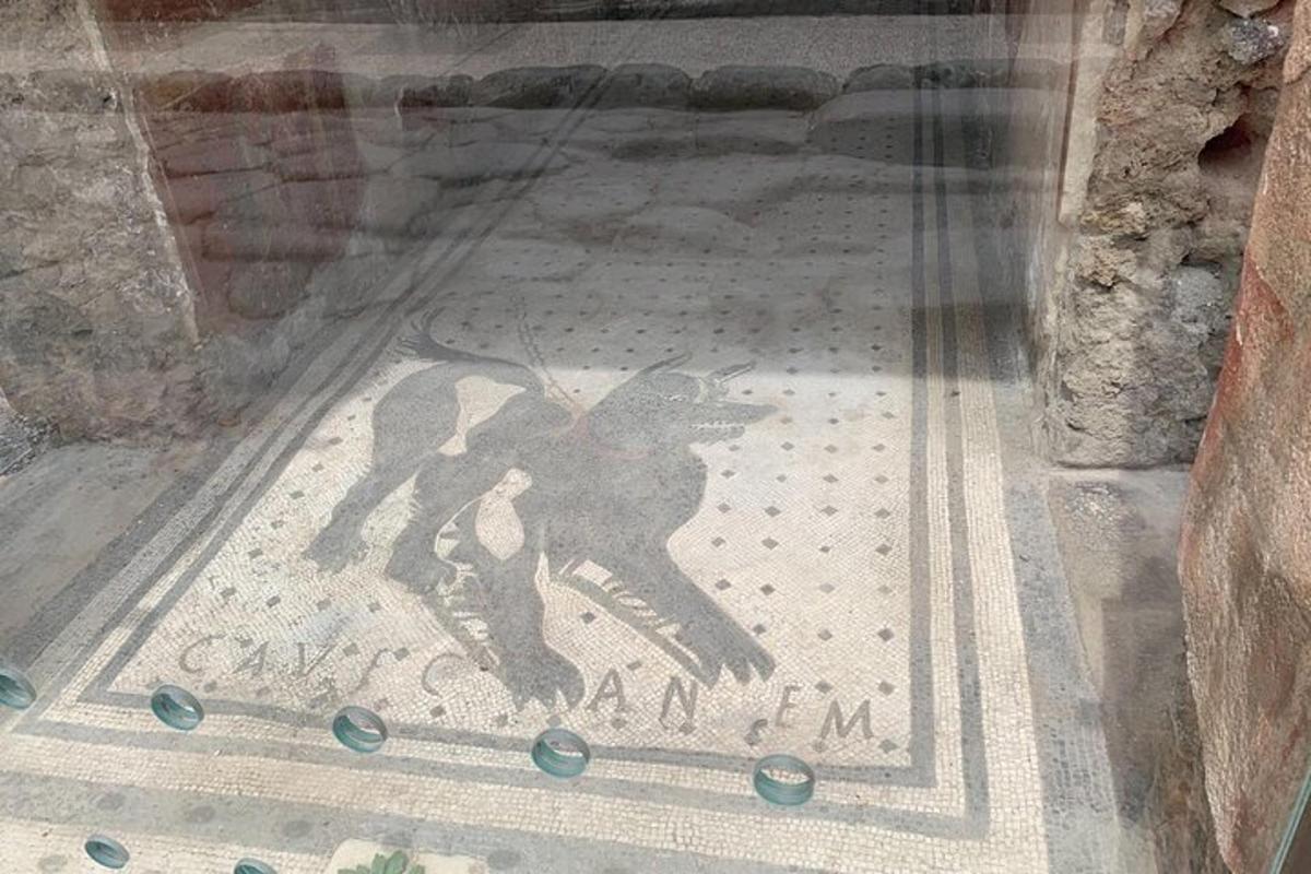Akna põrandal oleva koera mosaiik