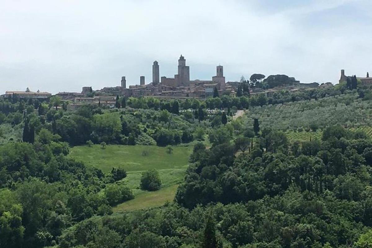 una vista aerea di una città su una collina con alberi