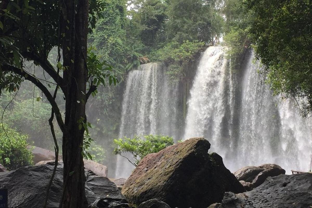 una cascada en medio de un bosque