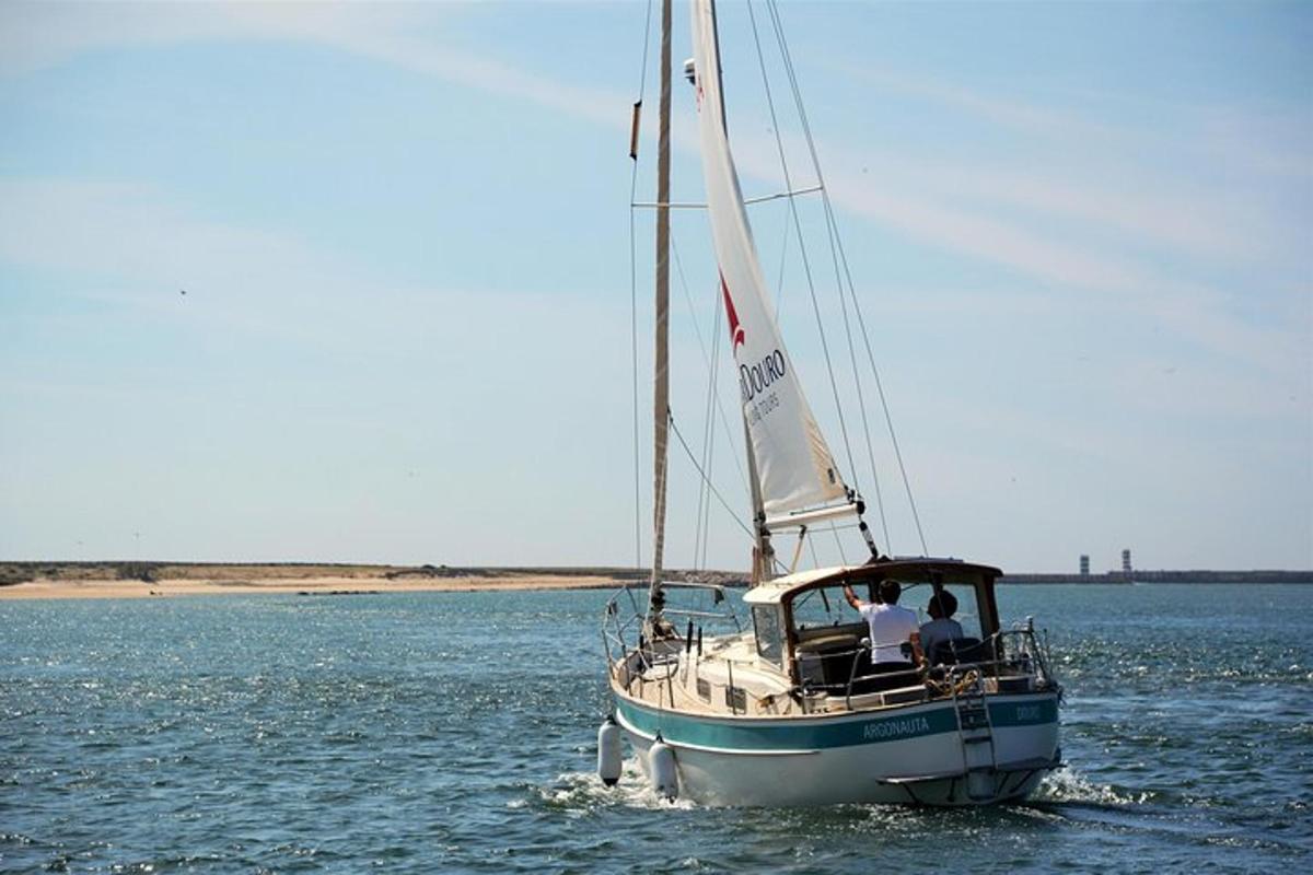 due persone su una barca a vela in acqua