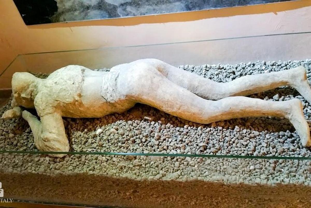 socha lva ležícího na koberci