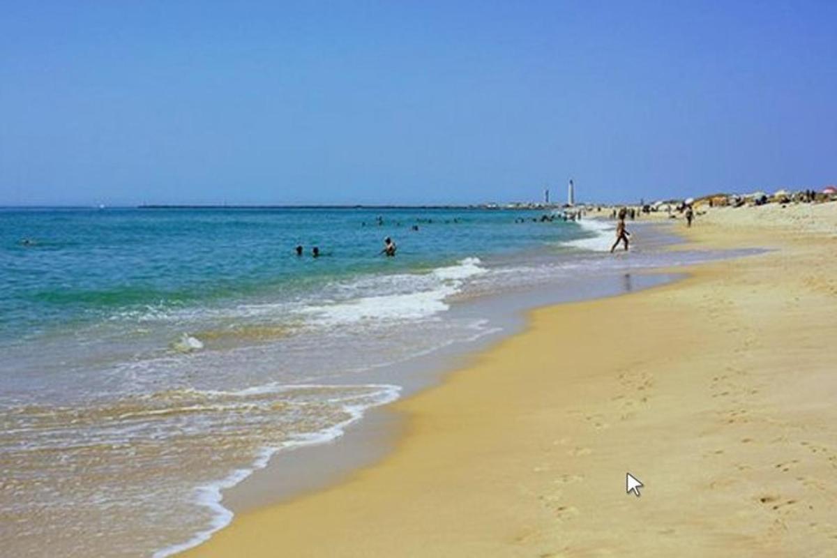 skupina ljudi na plaži z oceanom