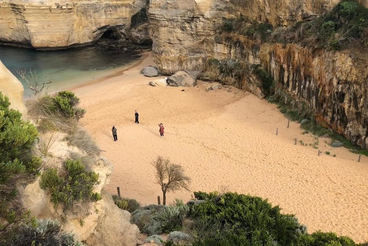 skupina ljudi, ki hodijo po peščeni plaži