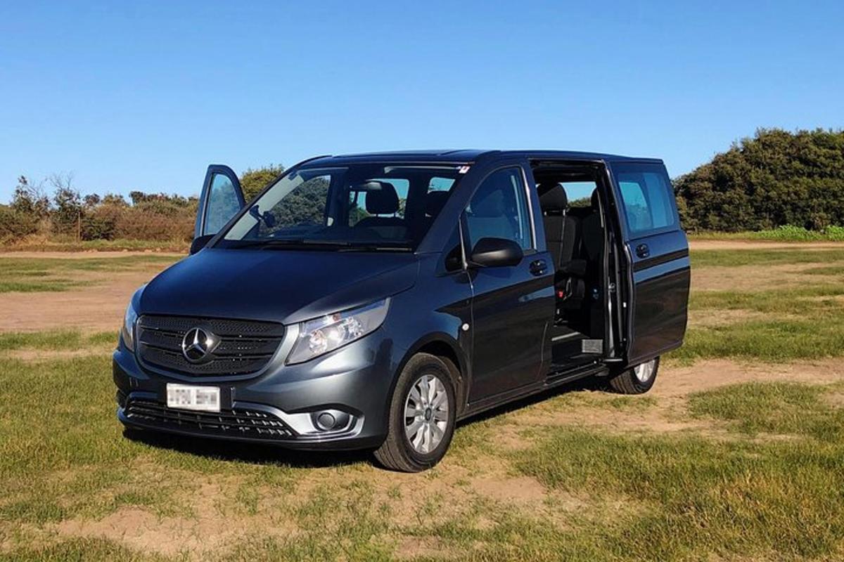 moder kombi parkiran na polju z odprtimi vrati