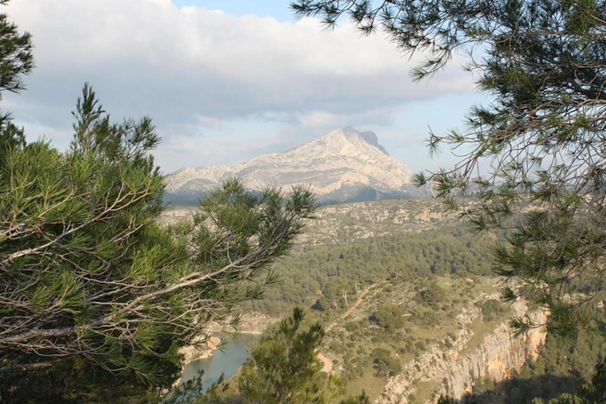 gunung di kejauhan dengan tasik dan pokok