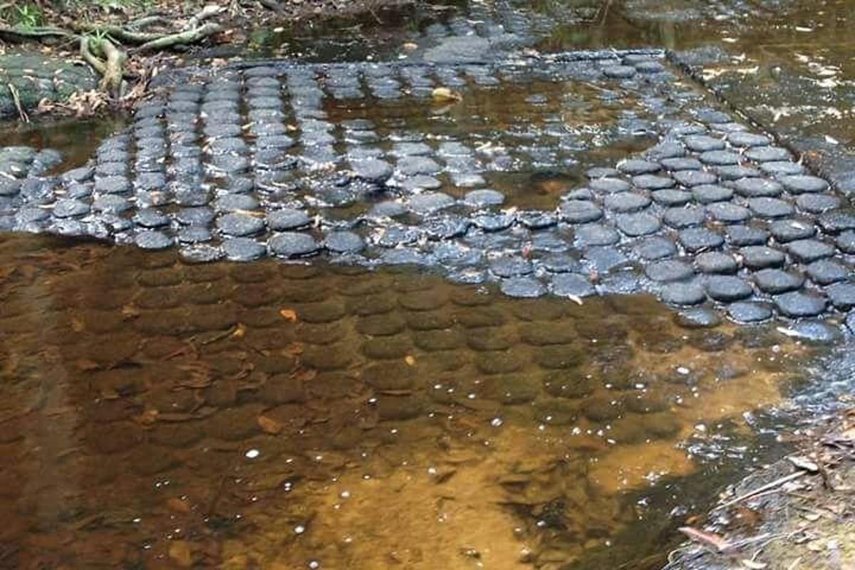 un grupo de rocas en un cuerpo de agua