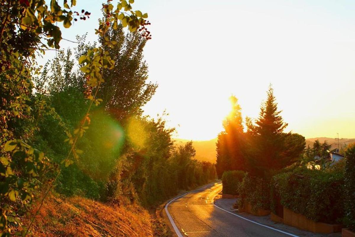 uma estrada com árvores na beira da estrada