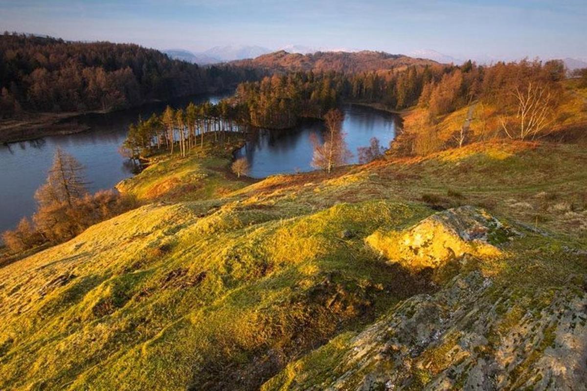 Letecký pohled na jezero na kopci se stromy