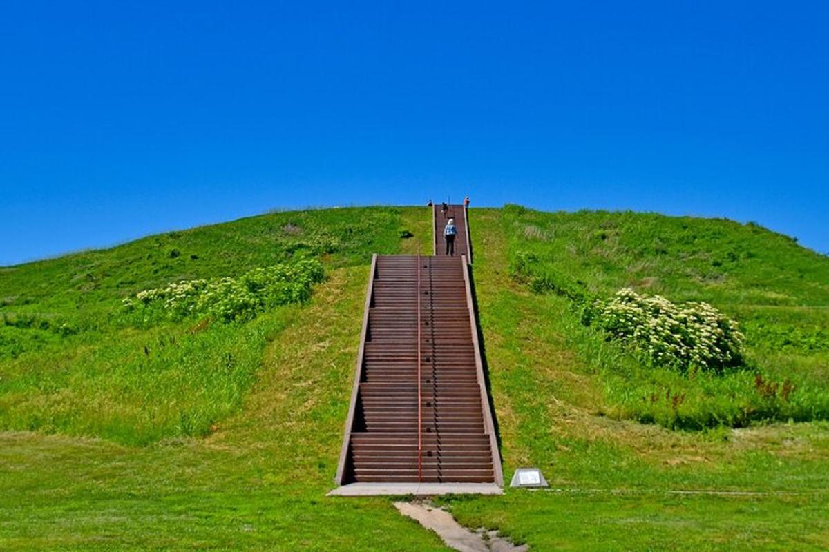 a person walking down a wooden path on a hill