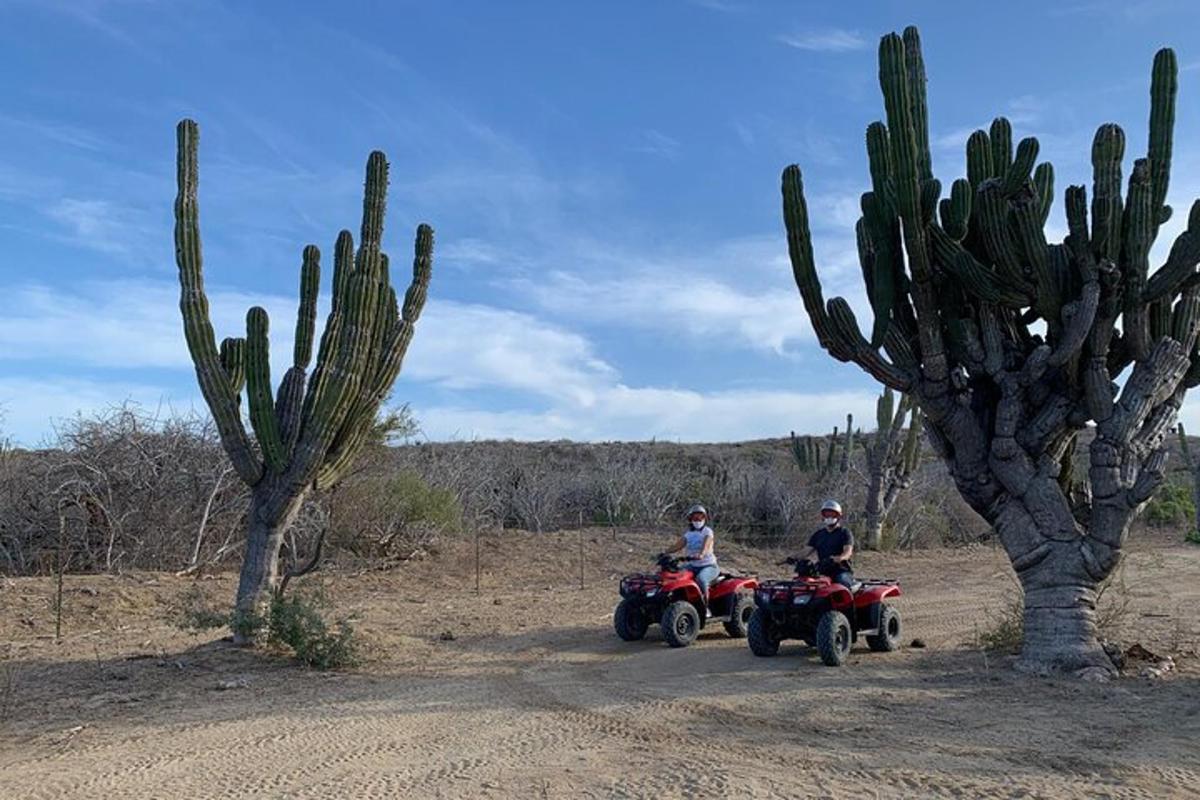 Dos personas conduciendo vehículos todo terreno por un camino de tierra junto a un cactus.