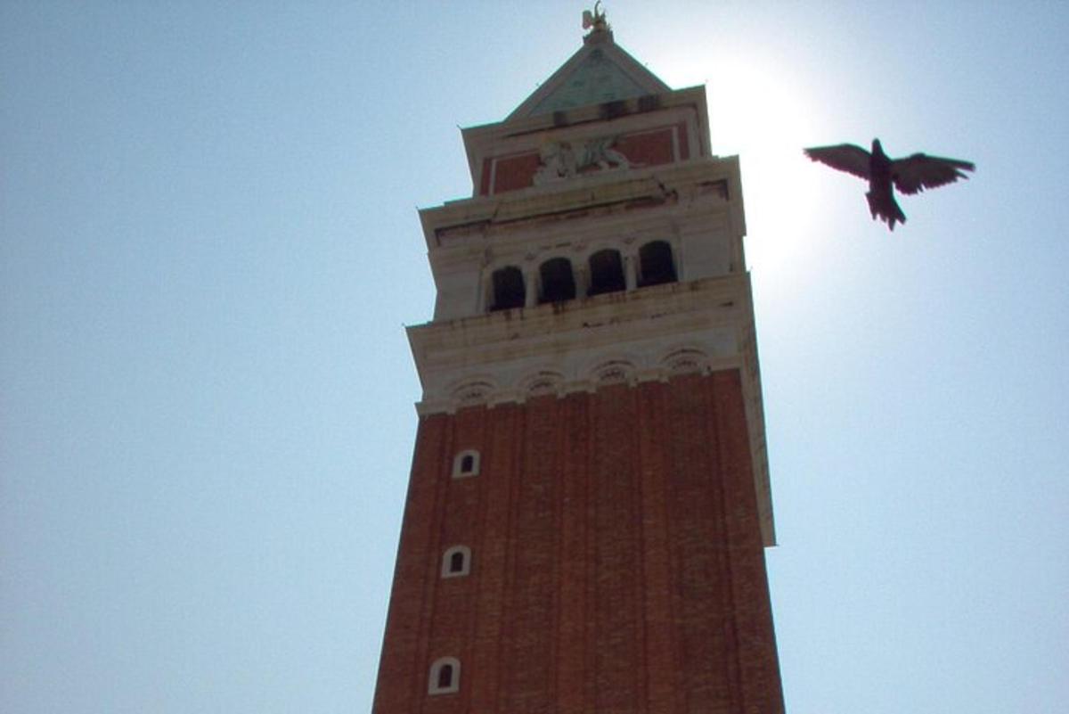 a bird flying in front of a clock tower