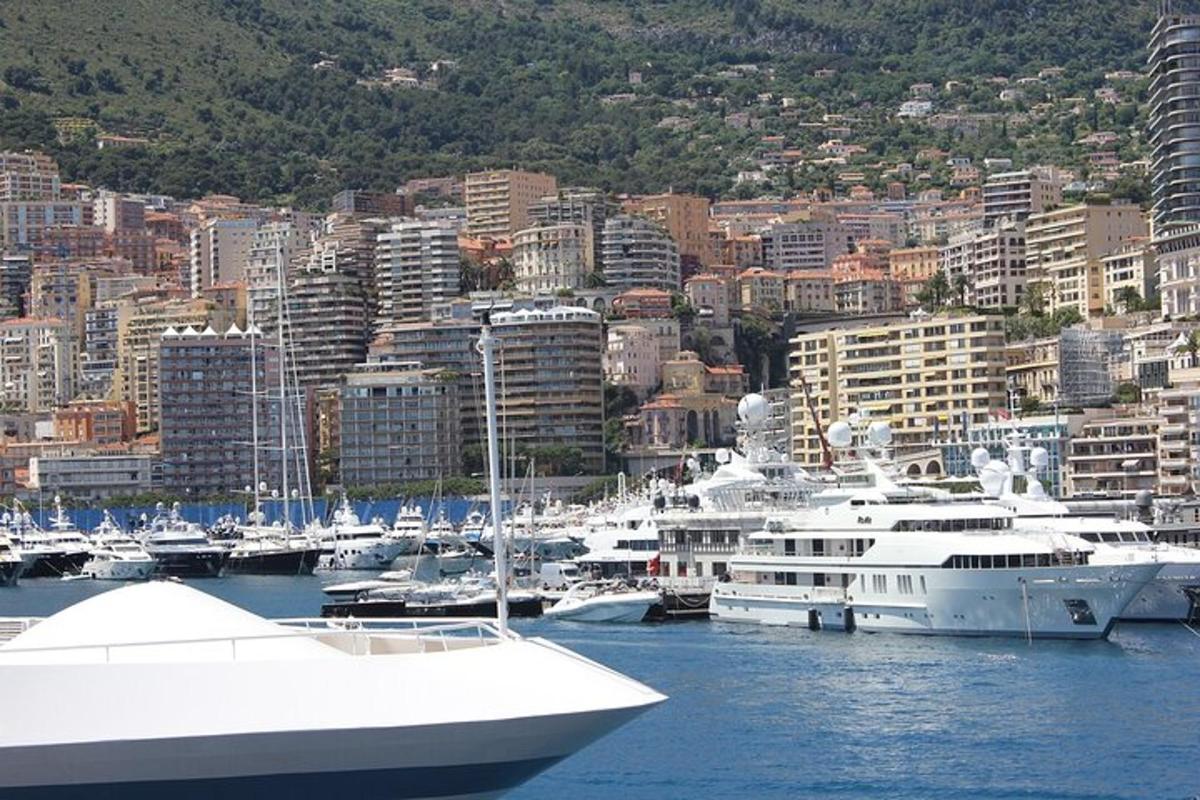 o grămadă de bărci sunt acostate într-un port