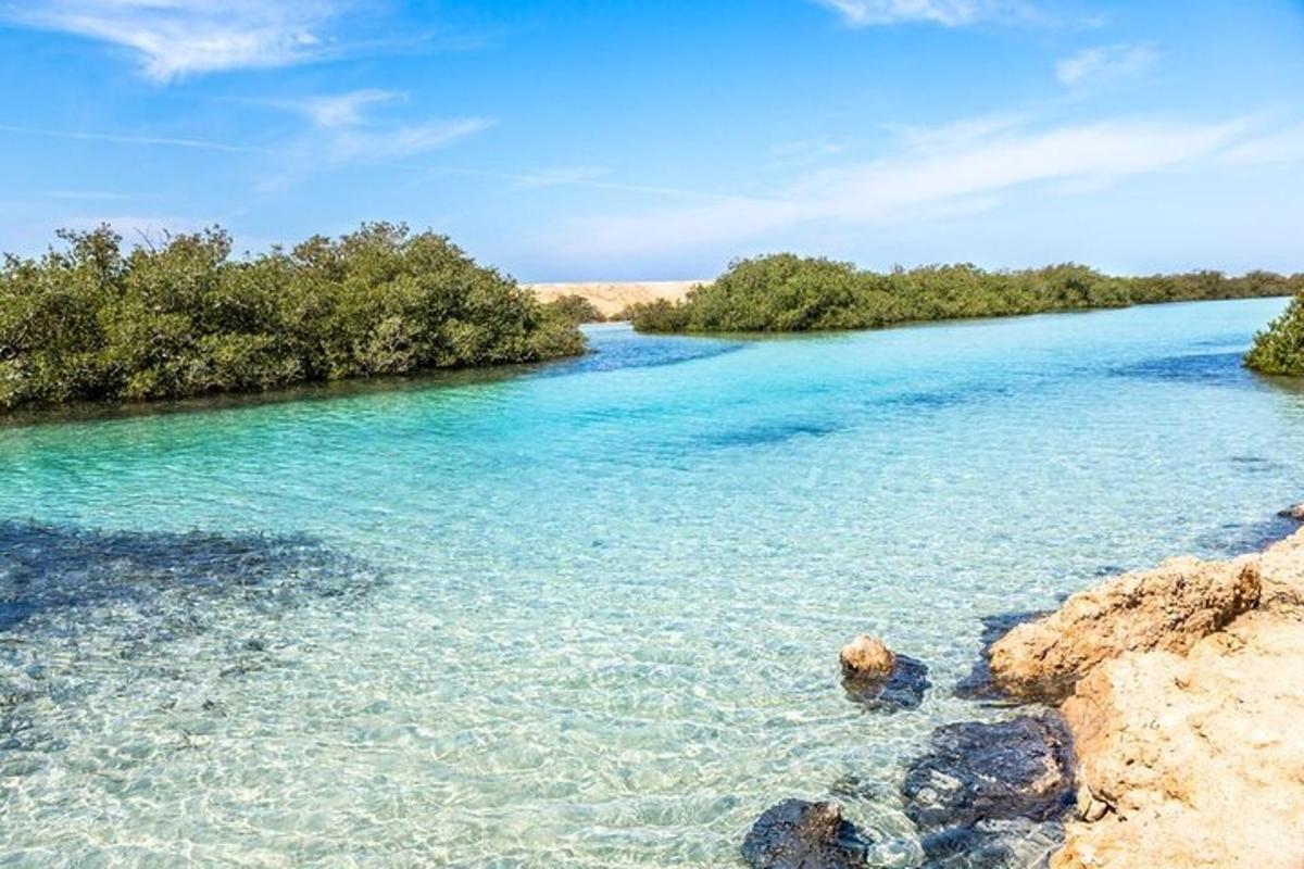 sungai dengan air biru dan pokok di latar belakang
