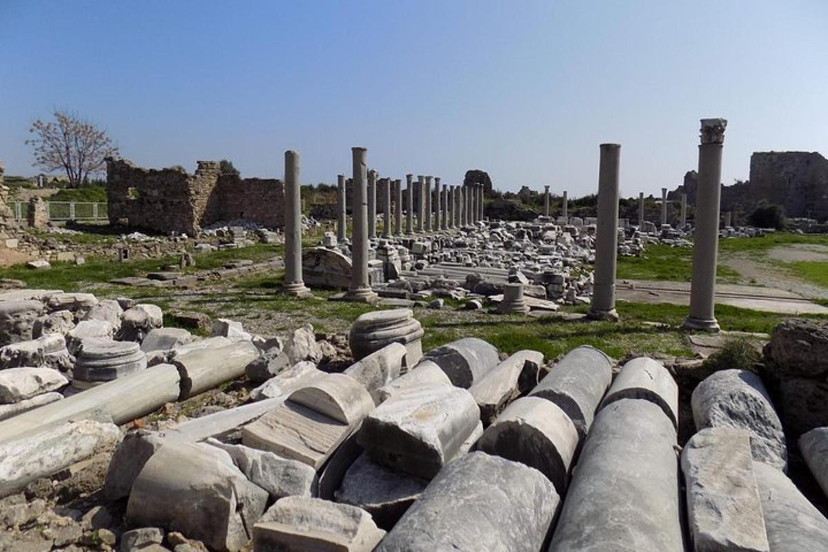 un gruppo di colonne e rocce in un campo