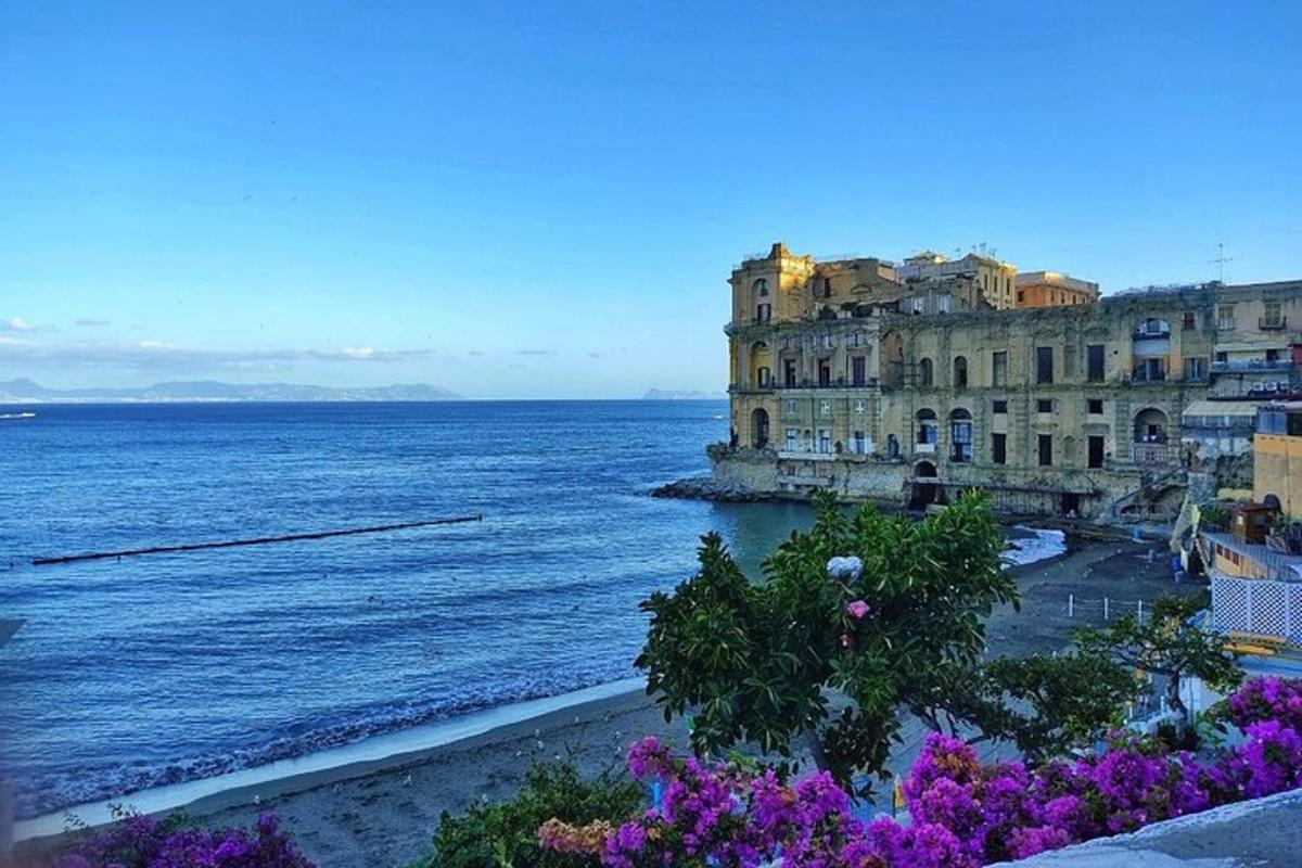 uma vista do oceano com edifícios e flores roxas