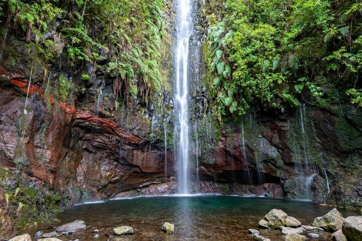 a waterfall in the jungle with a pool of water