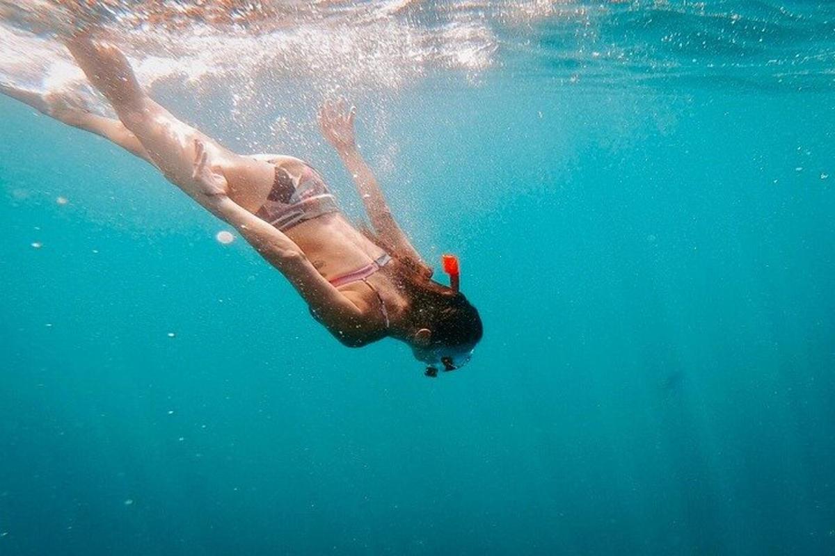 seseorang yang berenang di dalam air di lautan