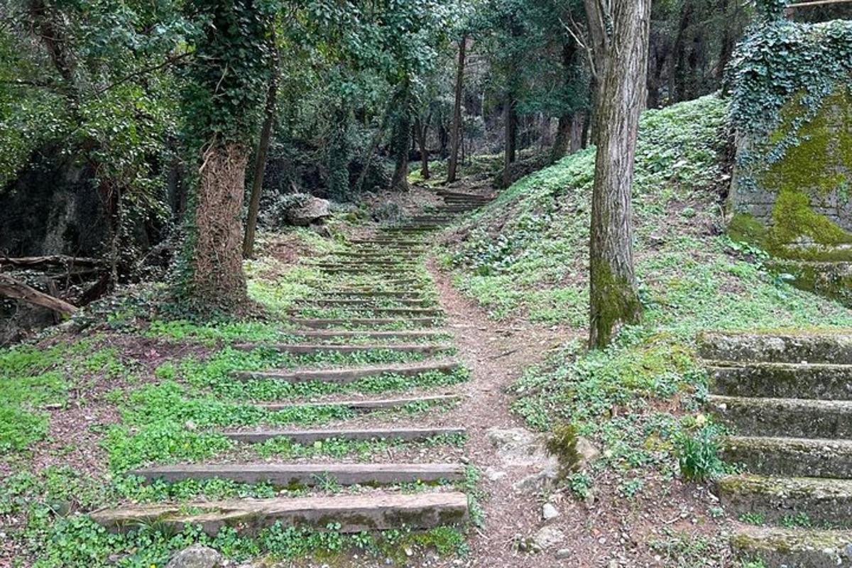 Fotografia 5 a atracției