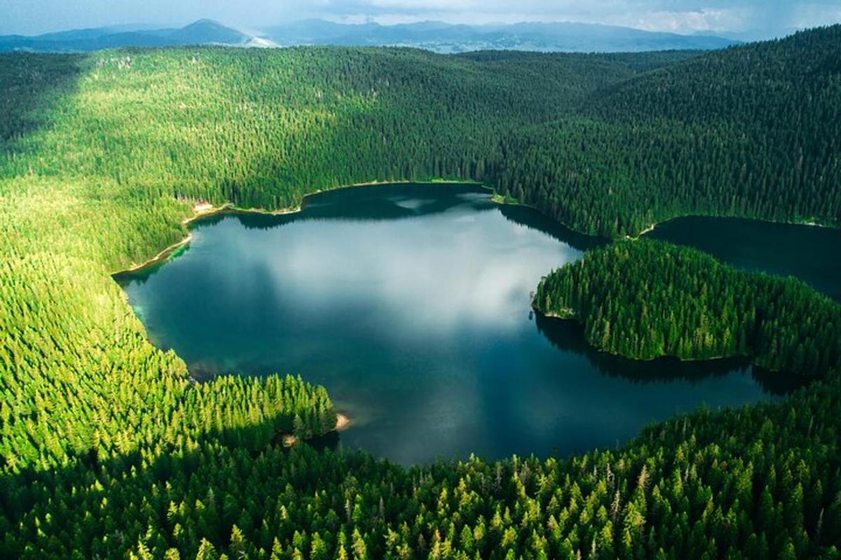 en luftfoto av en innsjø i en skog