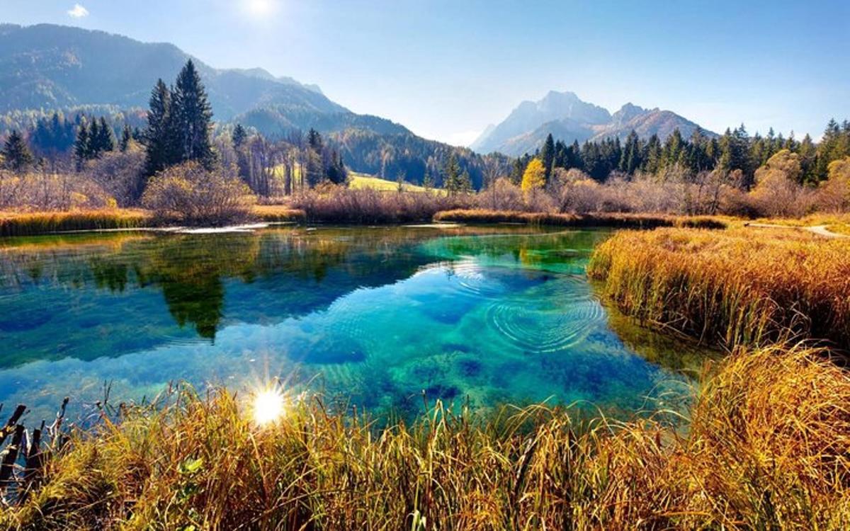un fiume in un campo con le montagne sullo sfondo