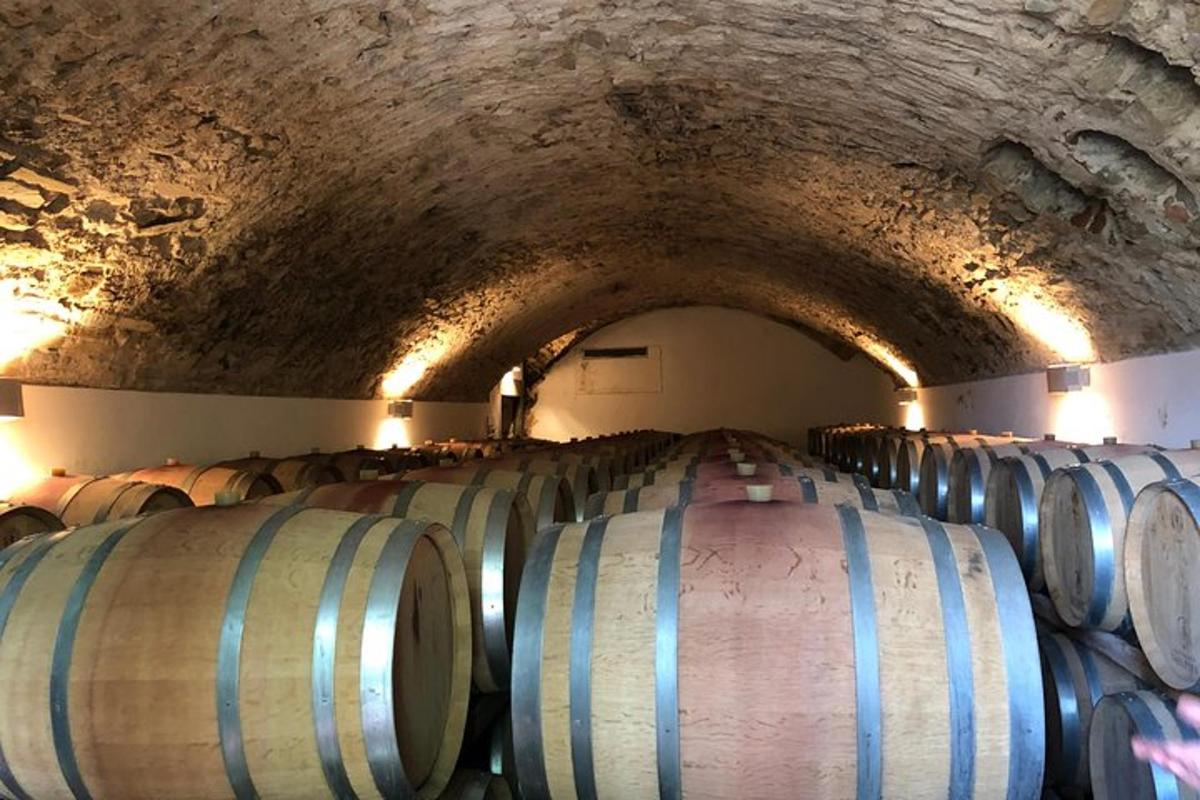 una filera de bótes de vi en un túnel