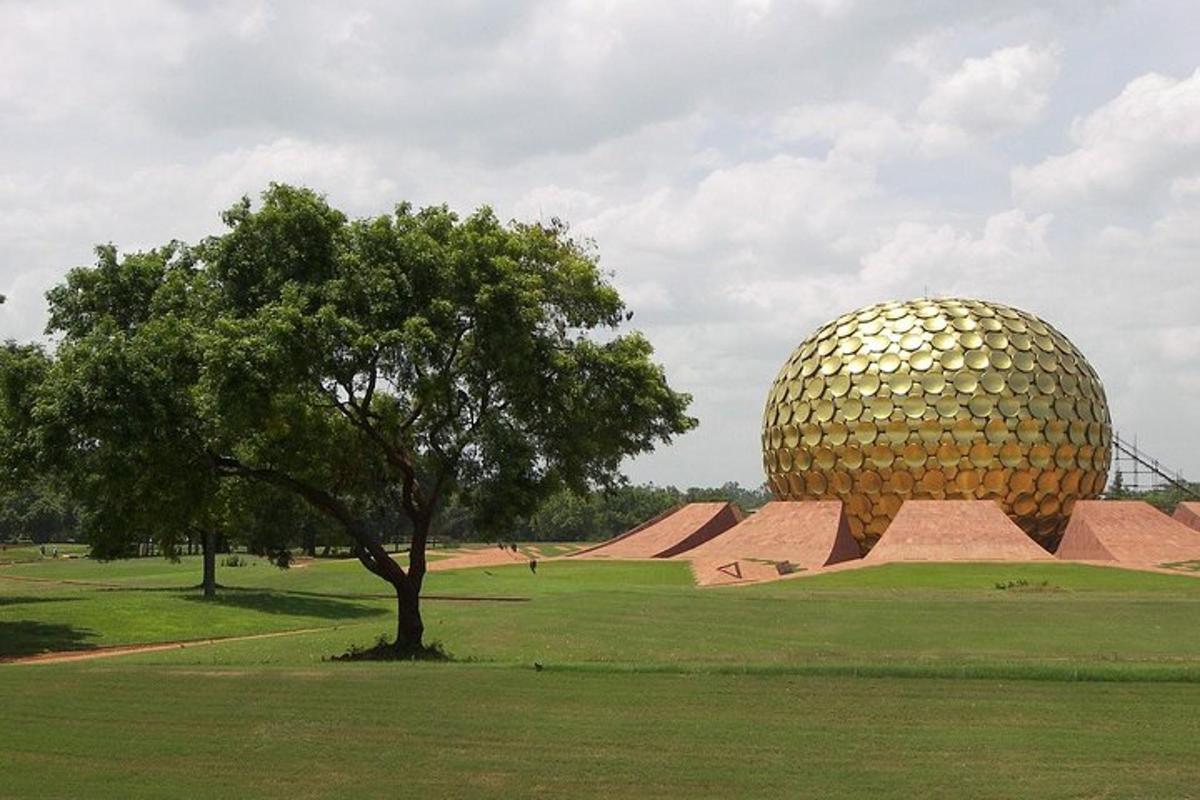 a large metal object in a field with a tree