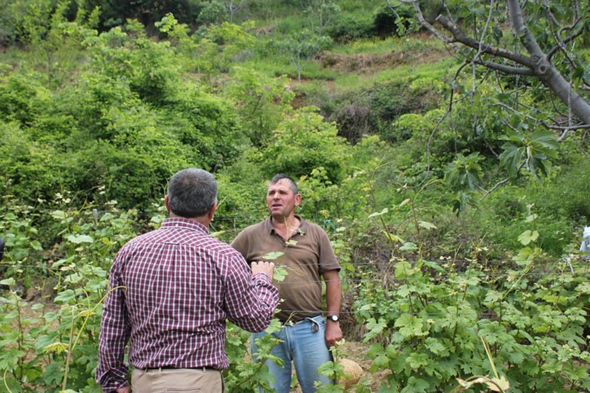 two men are standing in a field of plants