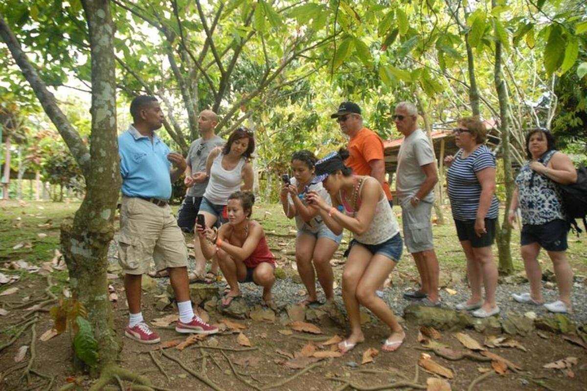 Foto 2 da atração