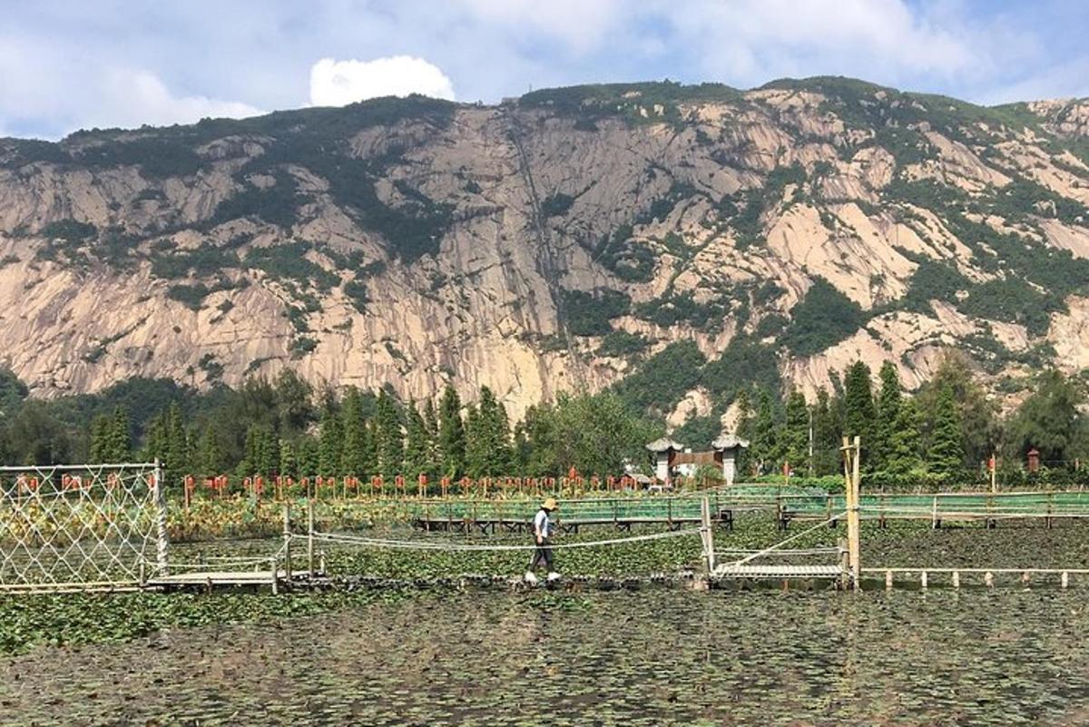a person standing behind a fence in front of a mountain