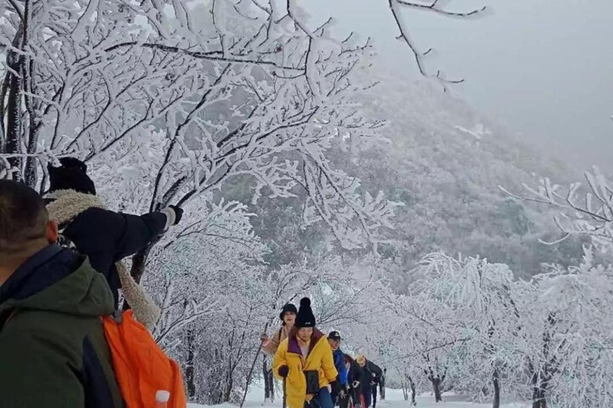 Fotografia da atração 3