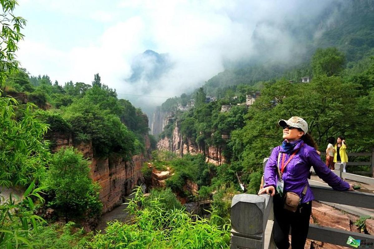 eine Frau, die auf einem Felsvorsprung steht und einen Canyon überblickt
