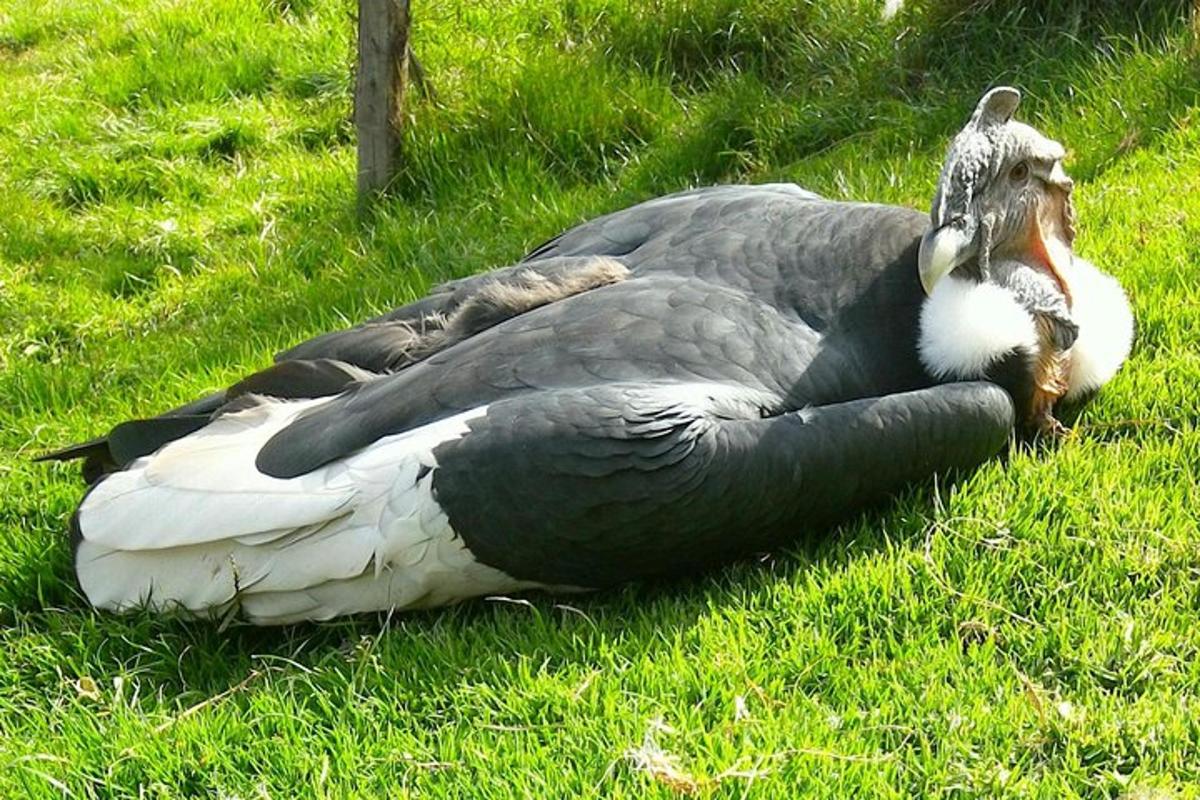Turistik nokta fotoğrafı 3