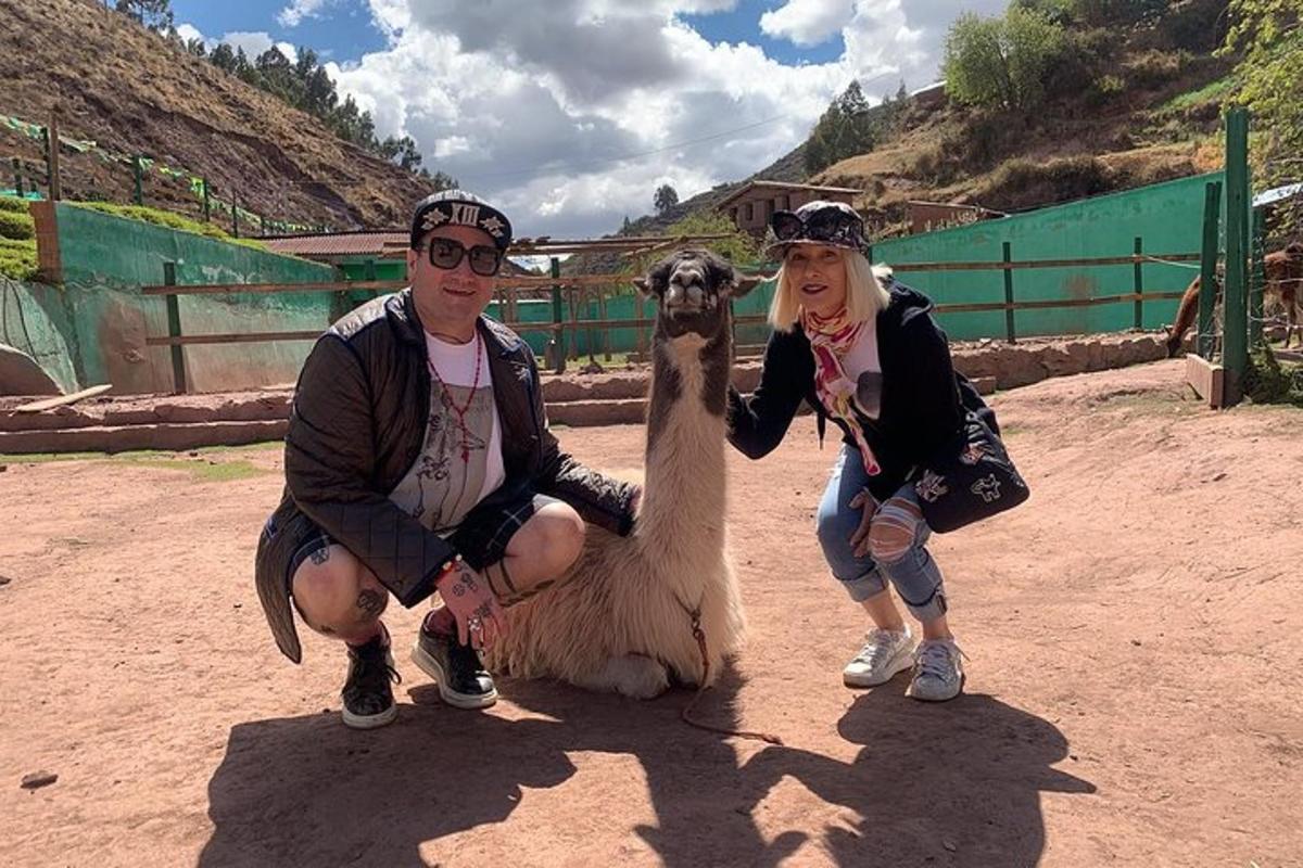 a man and a woman posing with a llama