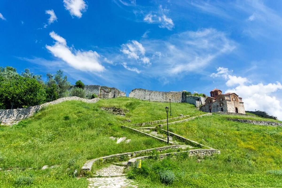 starý hrad na kopci se zeleným polem