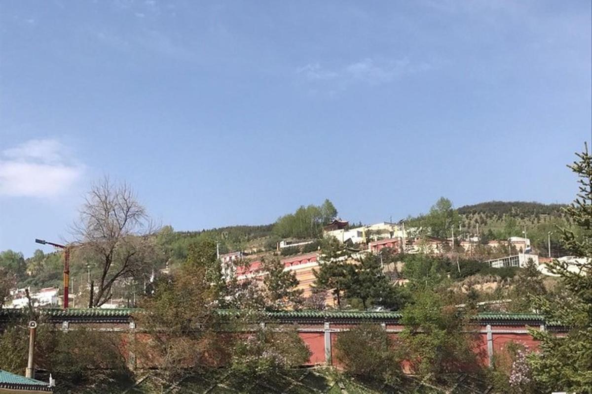 a town on top of a hill with houses