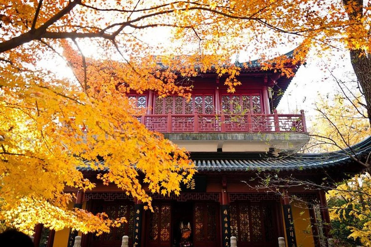 顶部有阳台的建筑