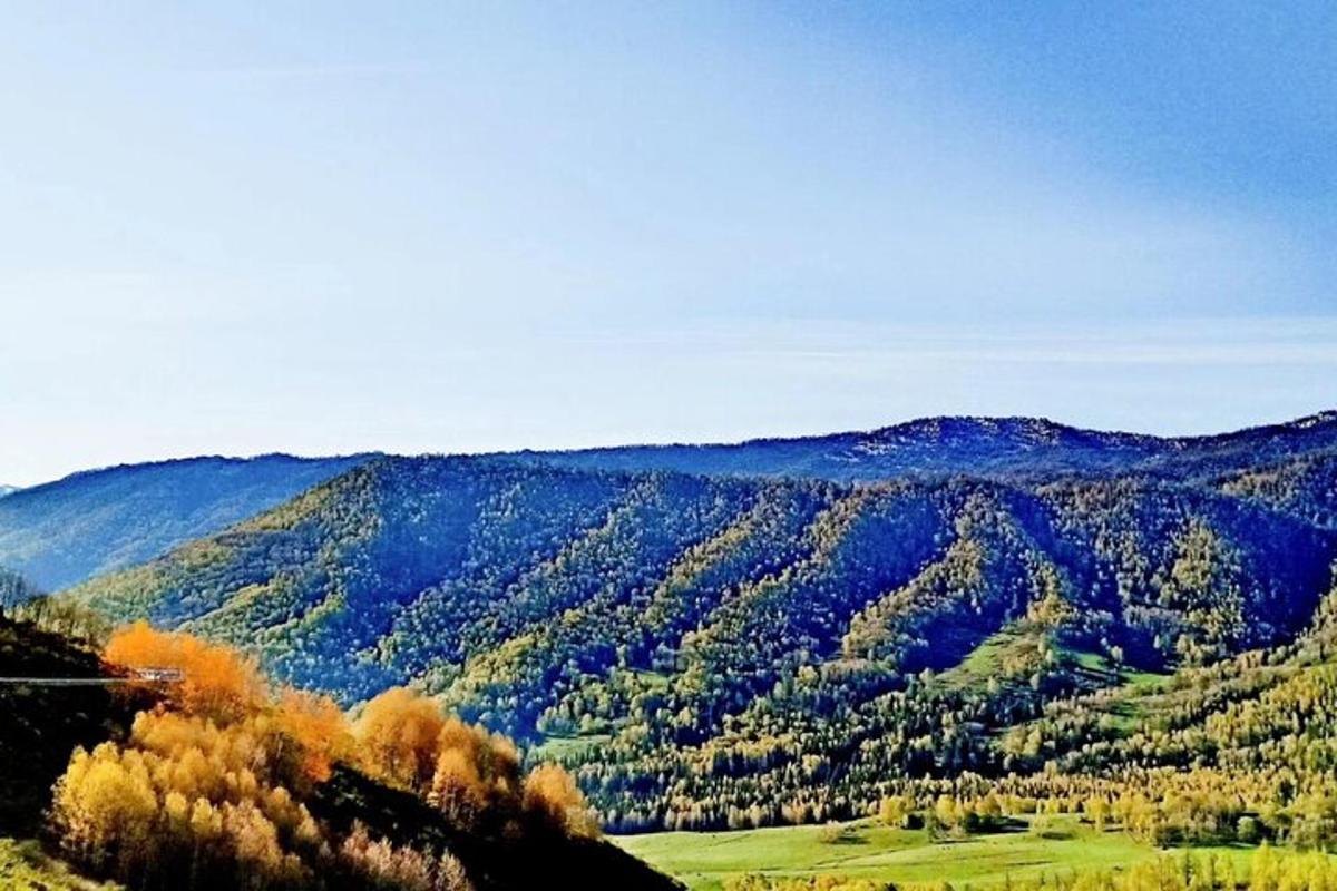 Fotografia da atração 5