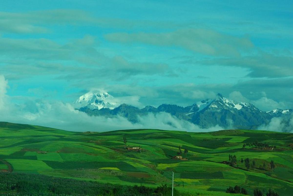 a green field with snow capped mountains in the background