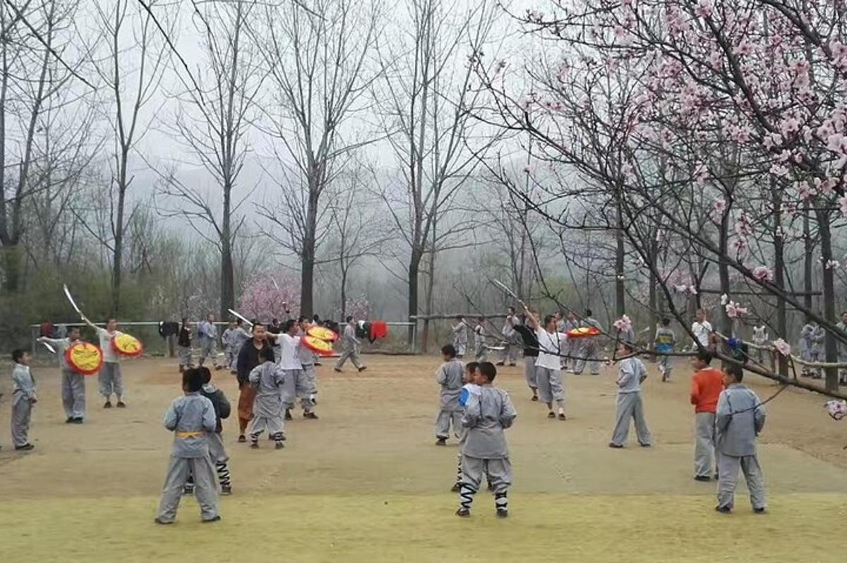 Un grupo de niños volando cometas en un parque