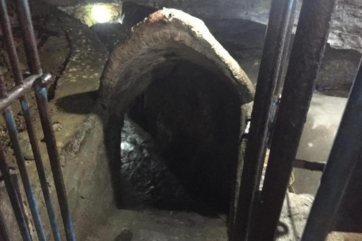 een tunnel in de vloer van een kooi