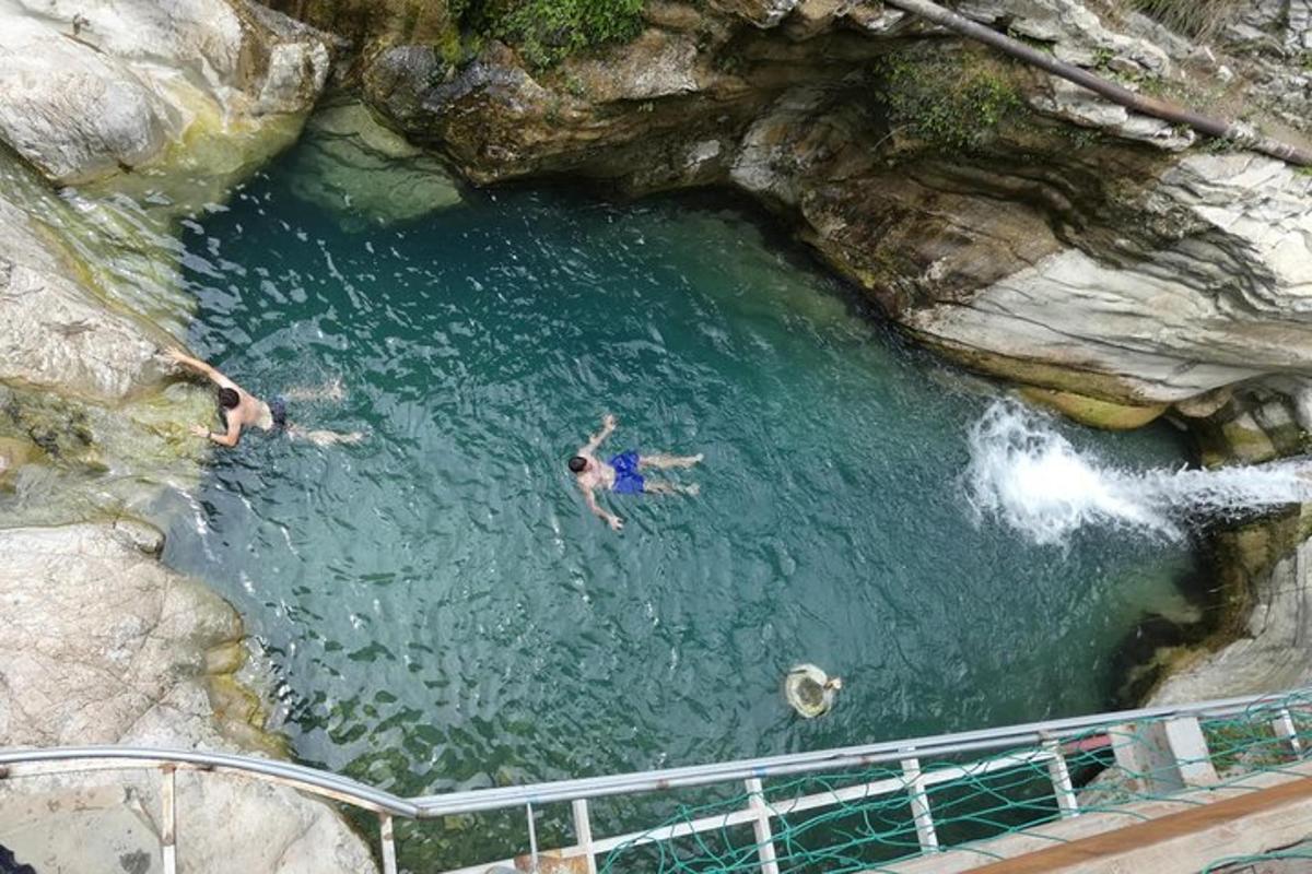 a group of people swimming in a pool of water