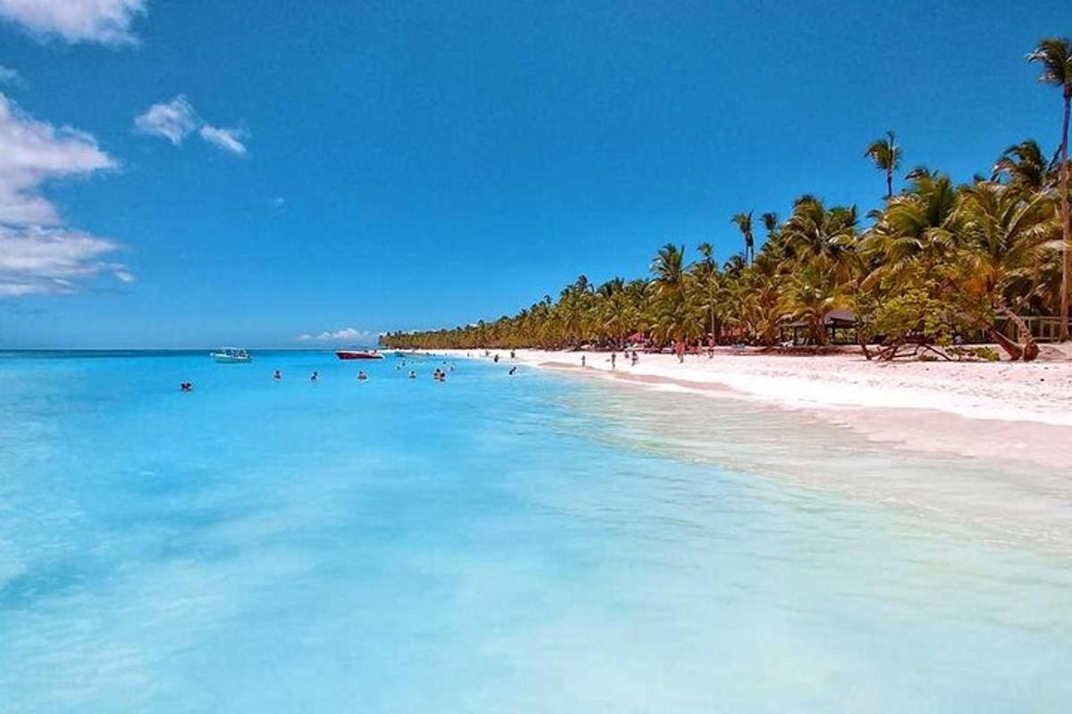 a beach with palm trees and people in the water