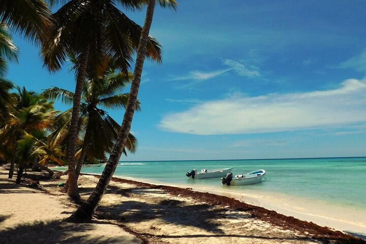 two boats in the water on a beach with palm trees
