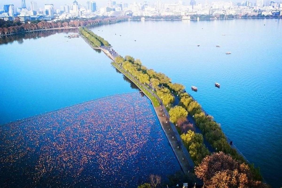 Una vista aérea de un río con árboles y agua.
