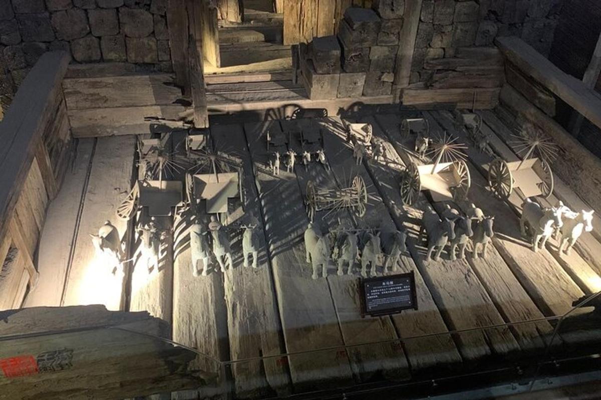 a display of skeletons on display in a museum