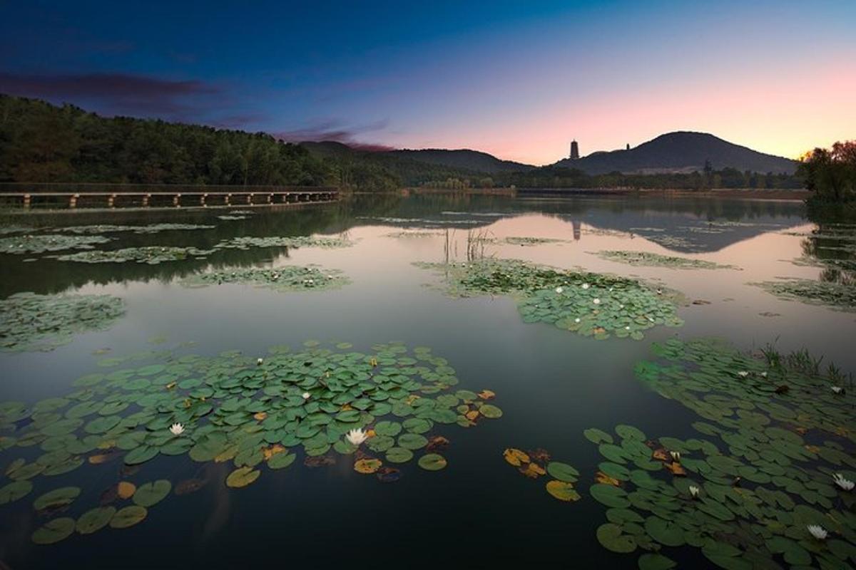 a large body of water with lily pads in it