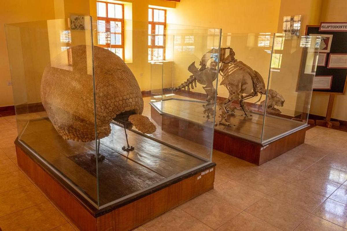 Un museo con un sarcófago y un troyano