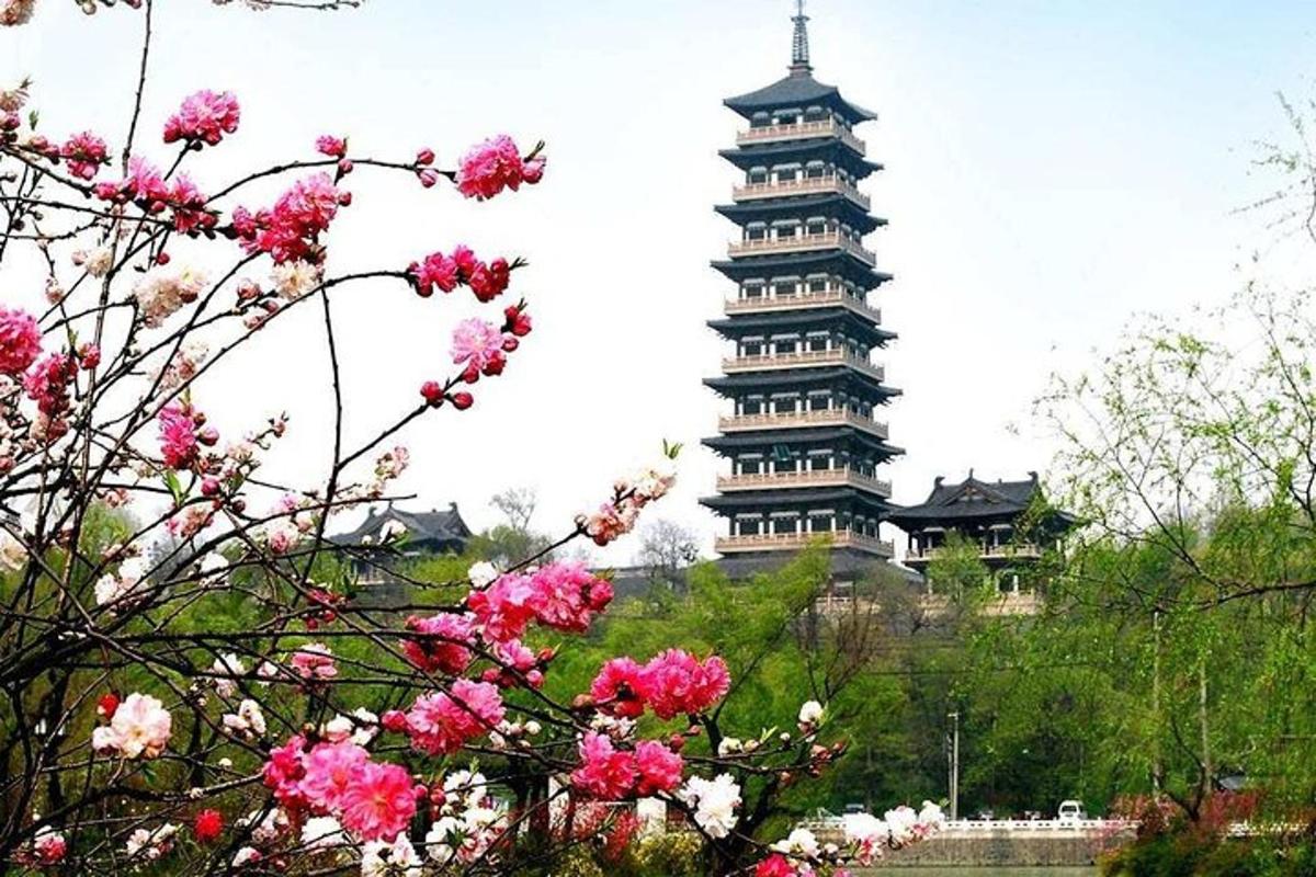 a building in the background with pink flowers and a tree