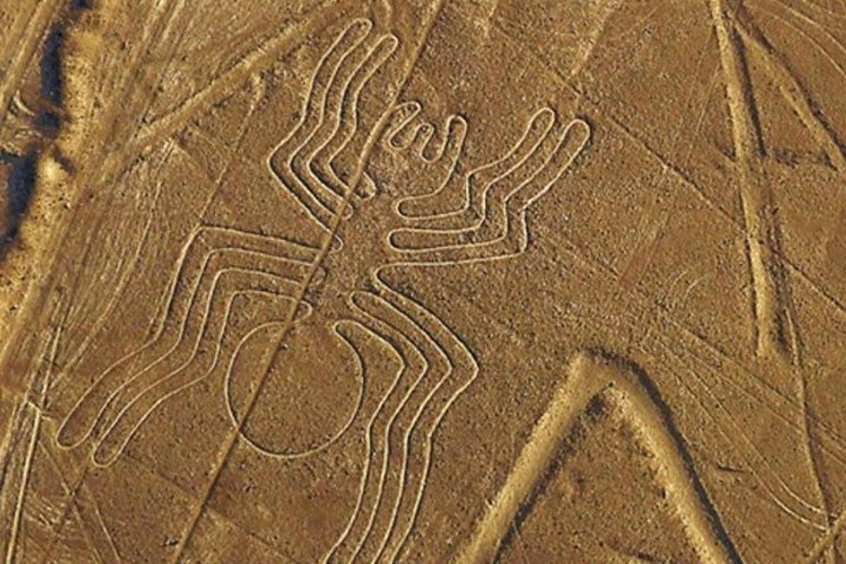 un disegno di una mano nella sabbia