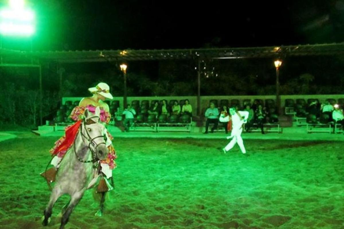 Una mujer montando a caballo en un circo por la noche.